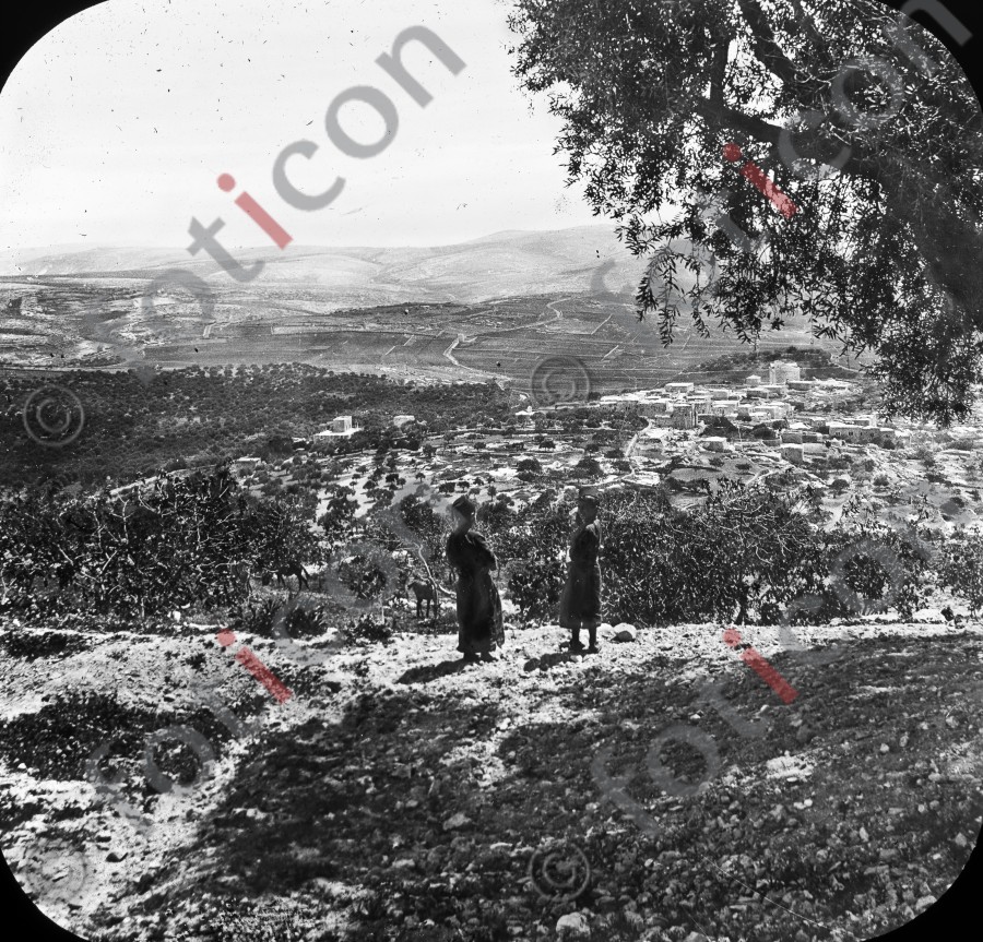 Hirten in Palästina | Shepherds in Palestine (foticon-simon-heiligesland-54-047-sw.jpg)